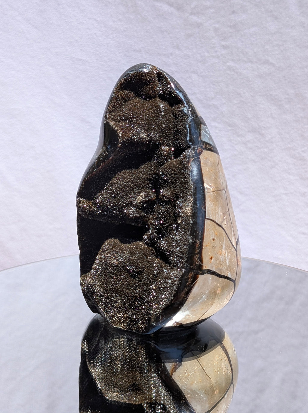 Septarian Dragon Egg B