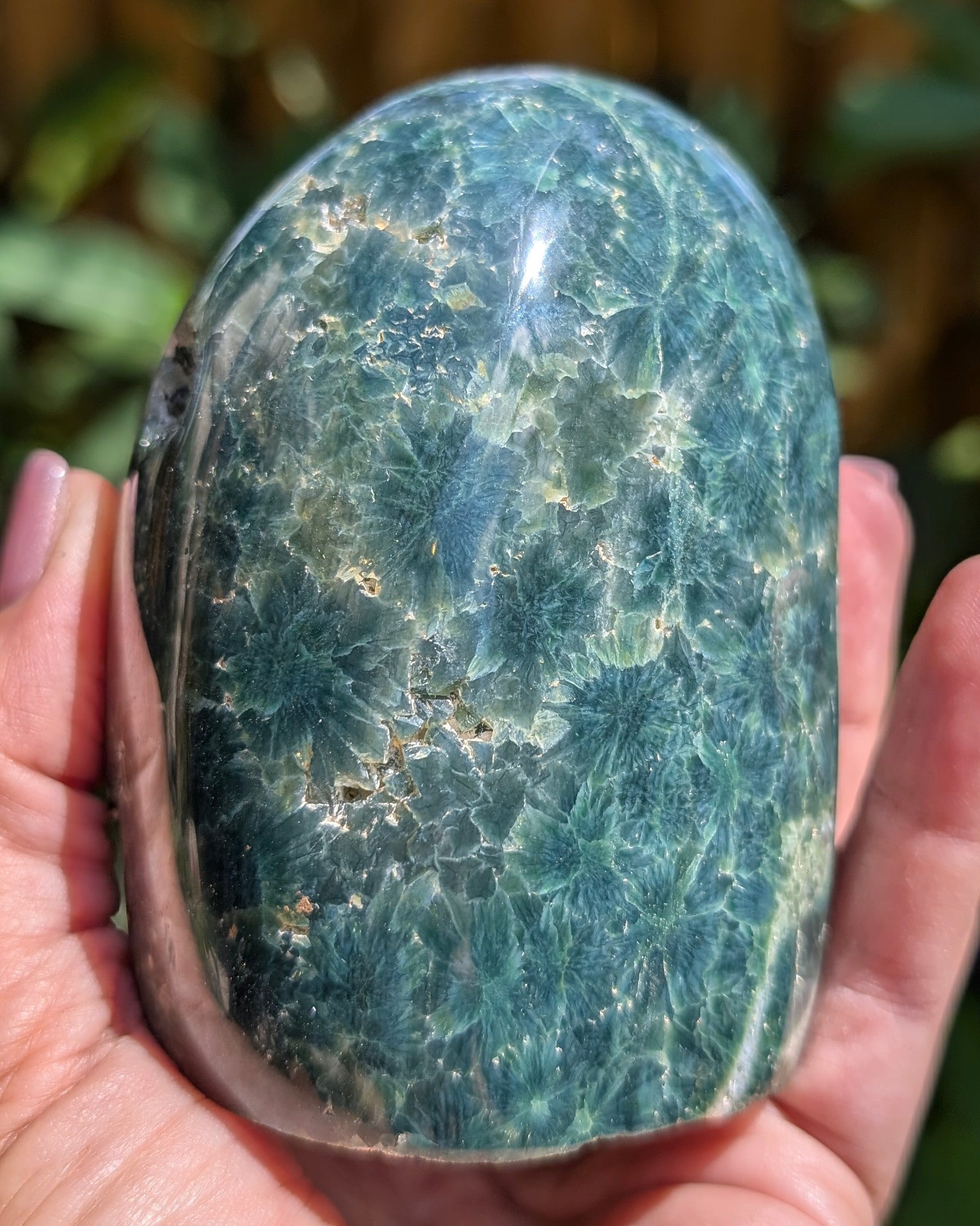 Ocean Jasper D
