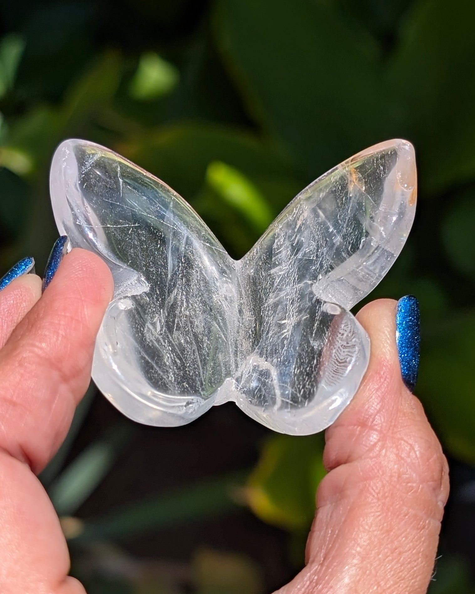 Clear Fluorite 3D Butterfly - Opt. W