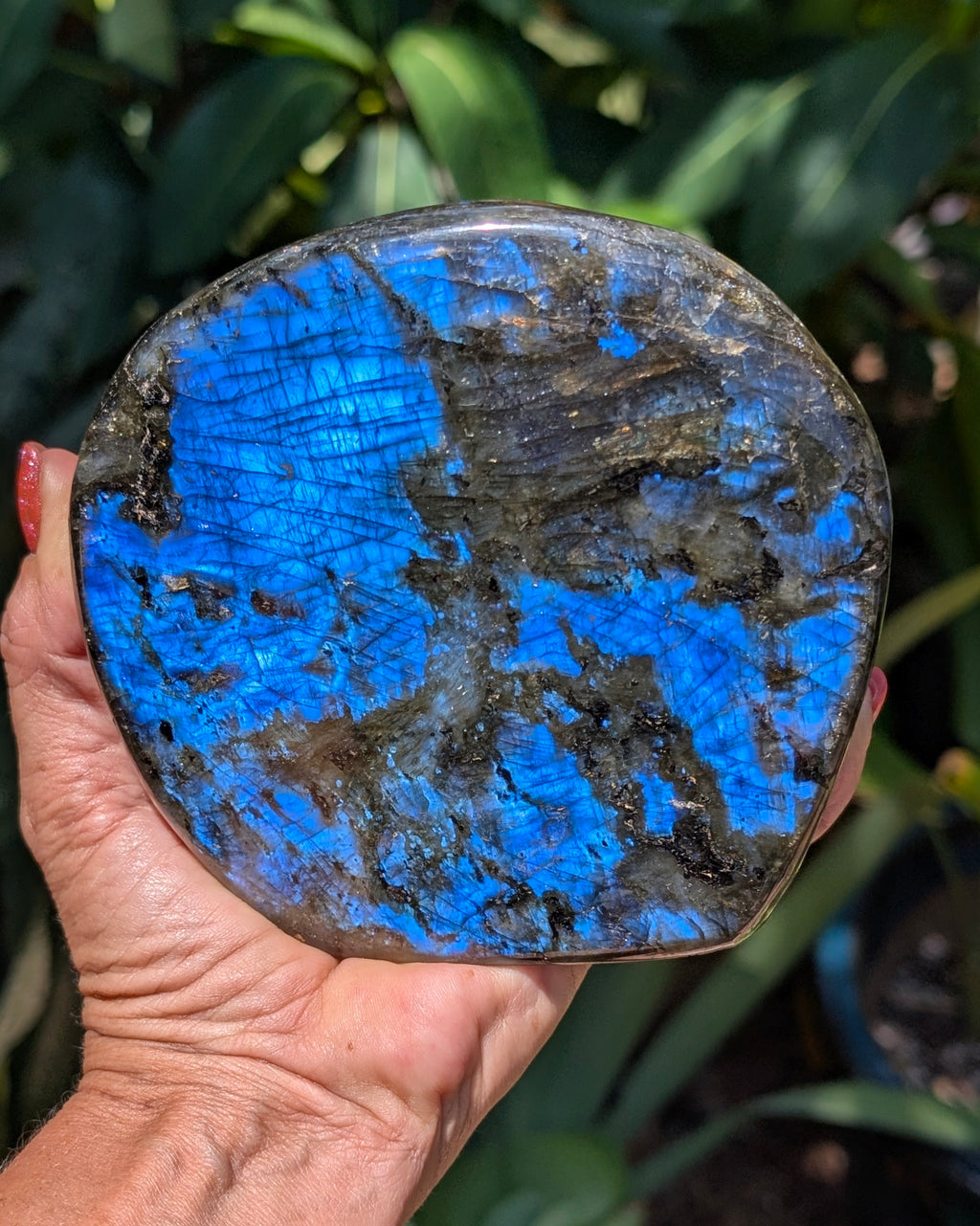 Flashy Blue Labradorite Freeform - Opt. D