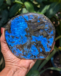 Flashy Blue Labradorite Freeform - Opt. D