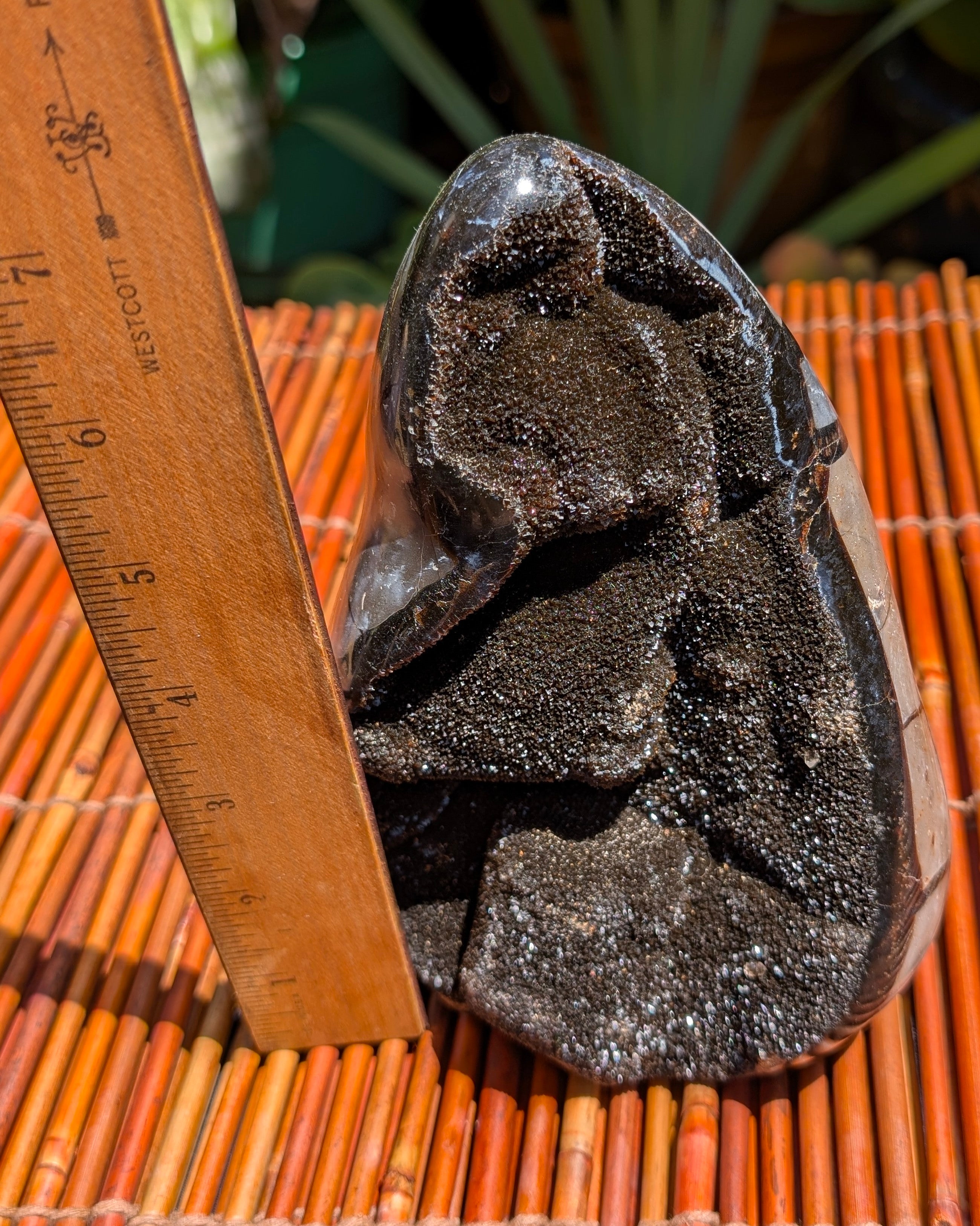 Septarian Dragon Egg B