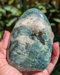 Ocean Jasper E