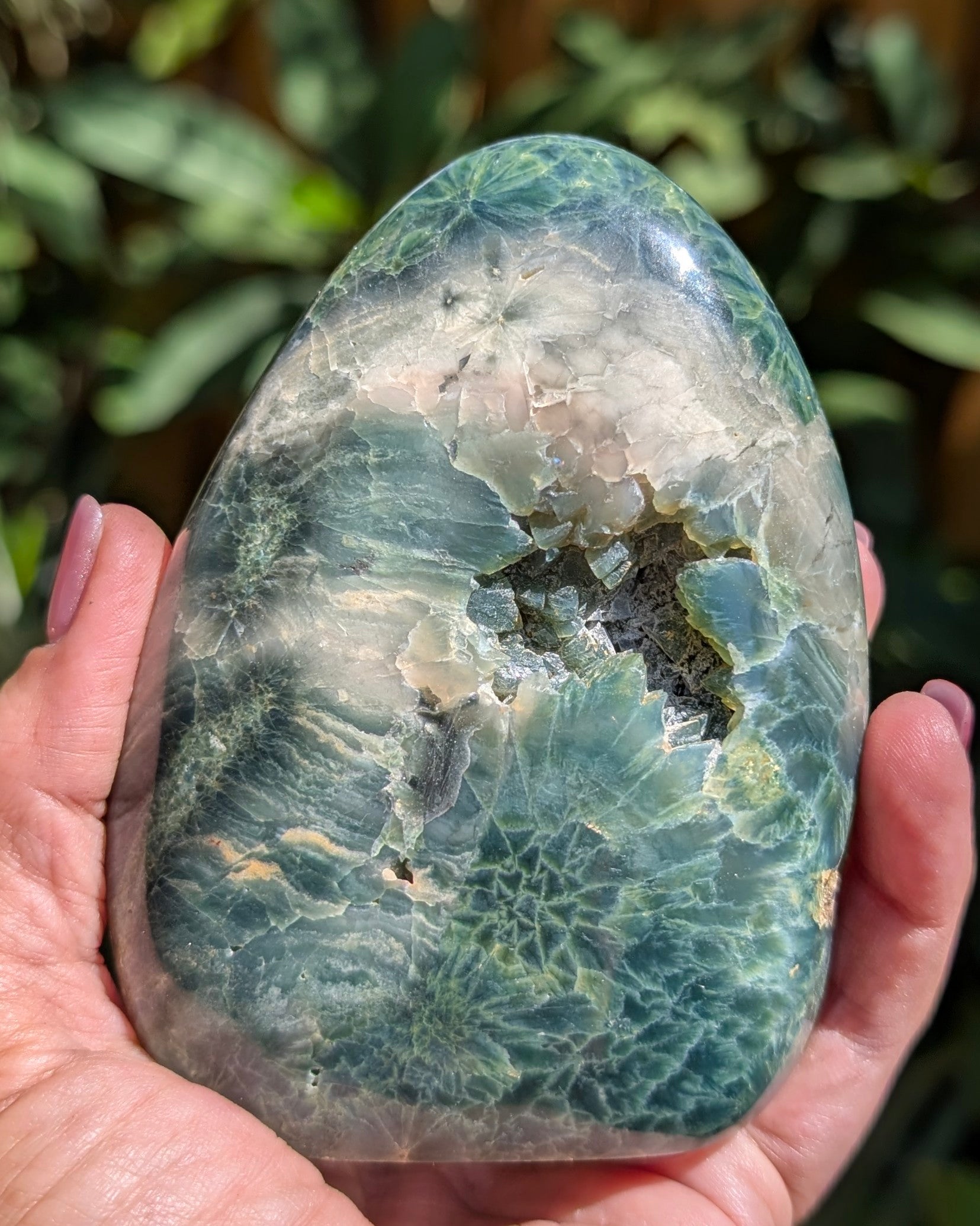 Ocean Jasper E
