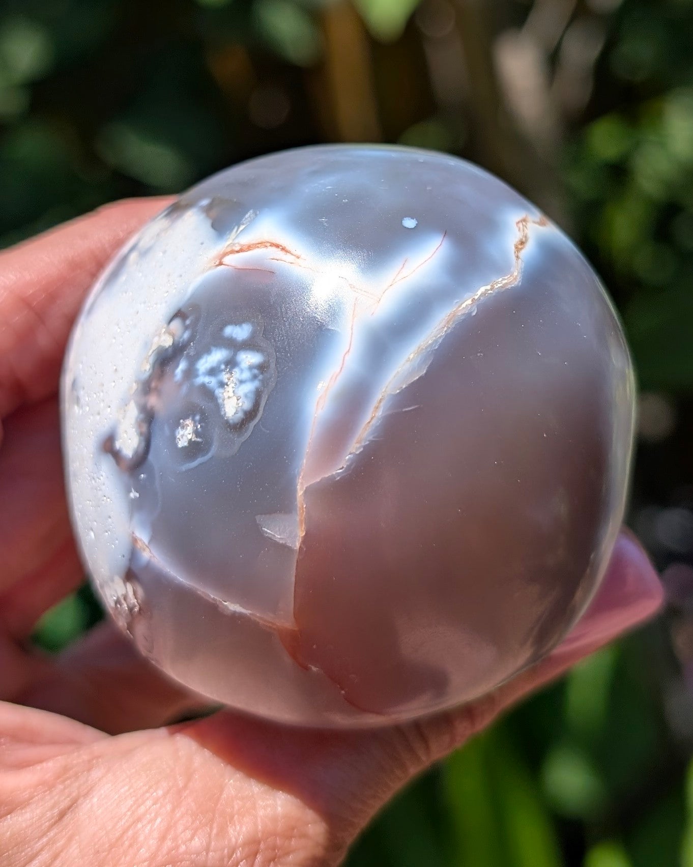 Orca Agate Mushroom I