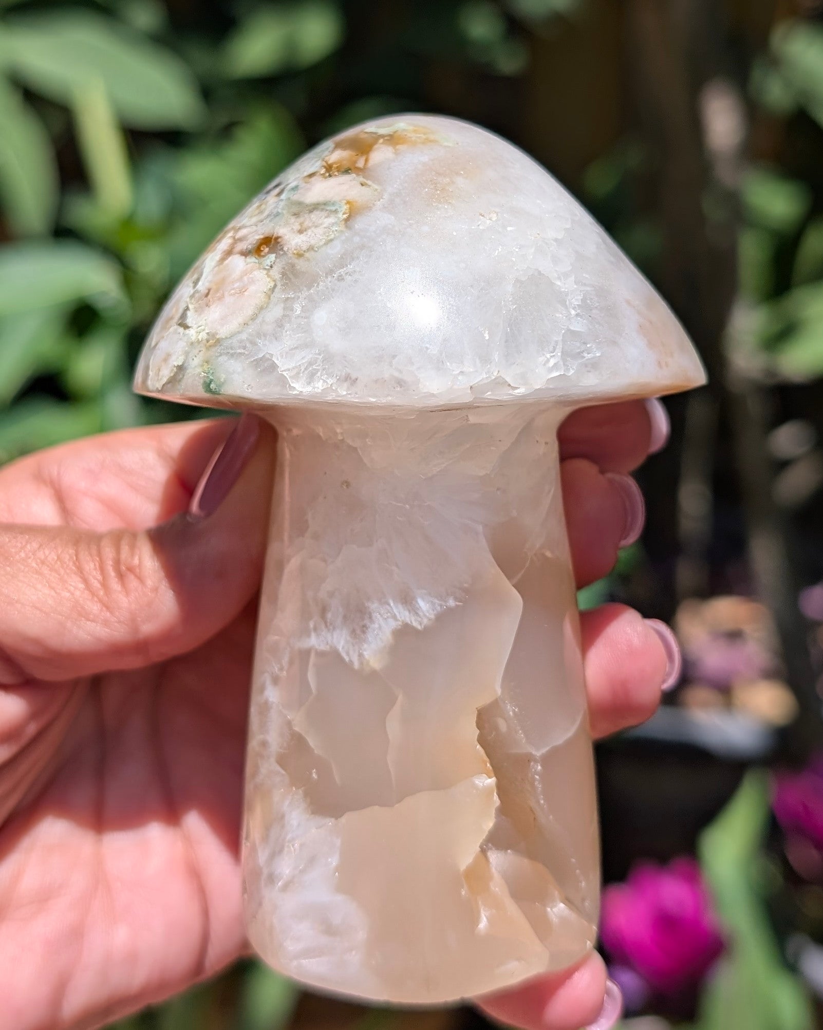 Flower Agate Mushroom E