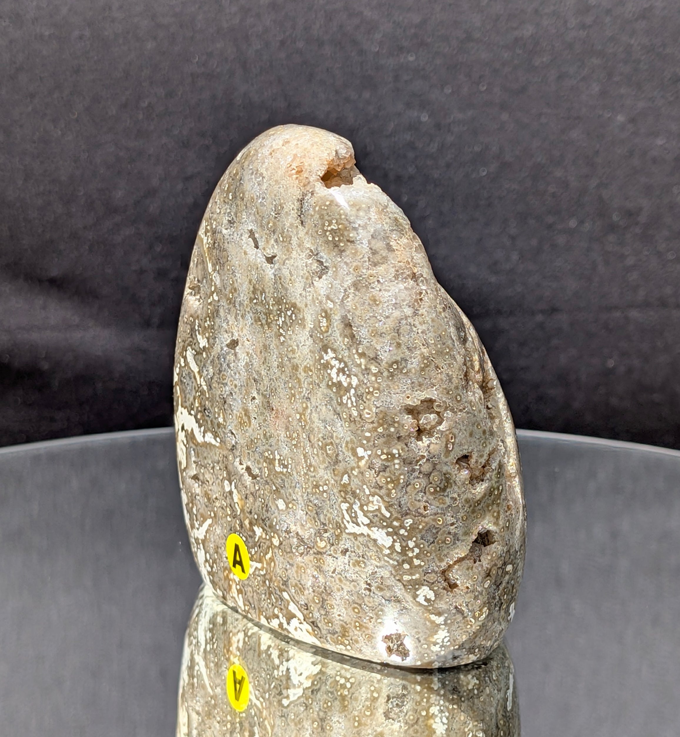 Ocean Jasper A