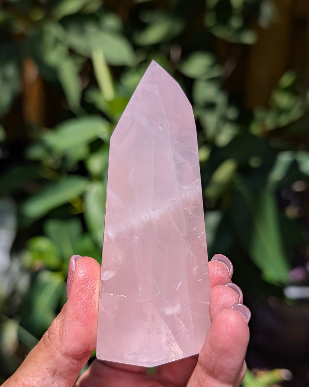 Rose Quartz Generator C