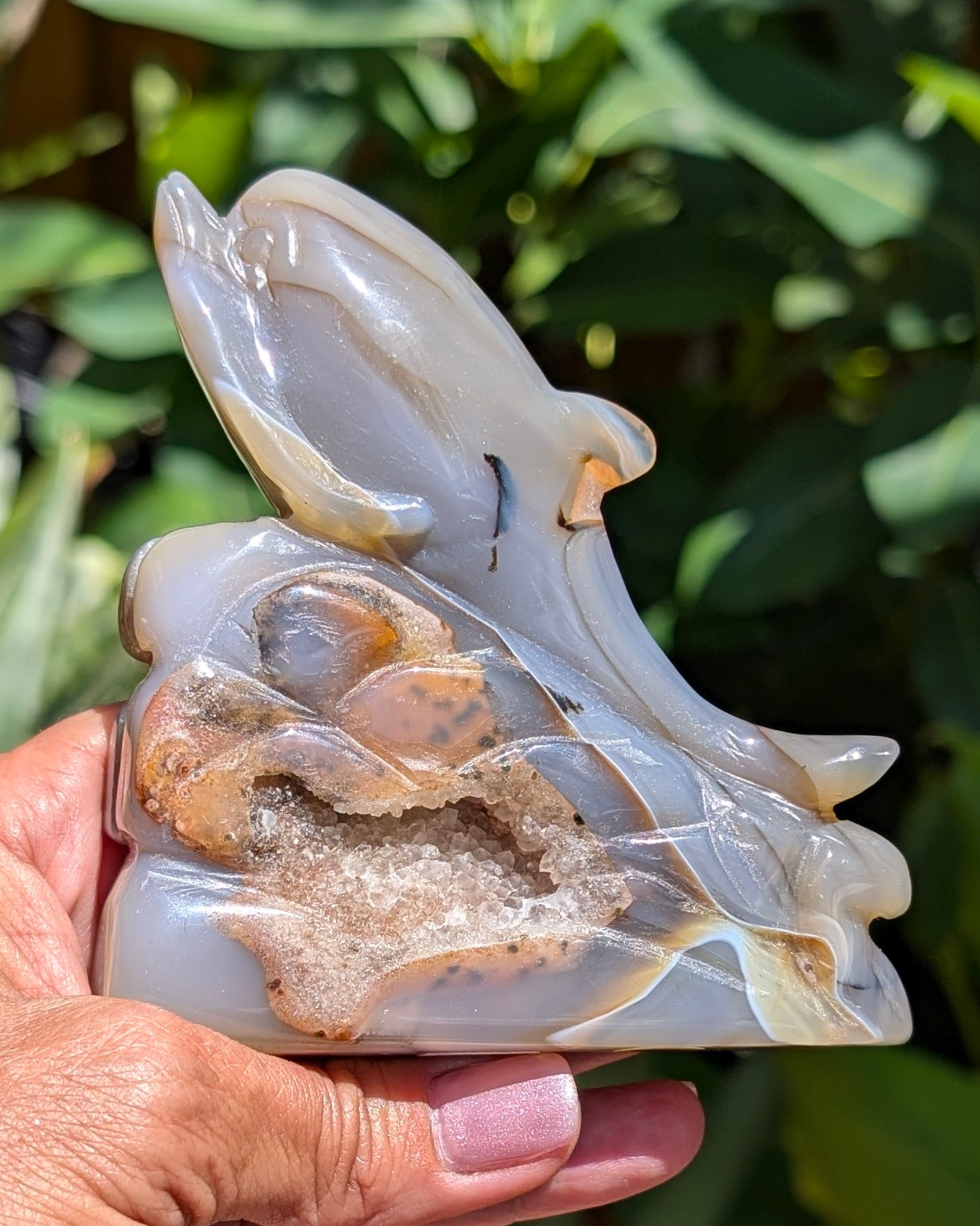 Agate Druzy Dolphin C