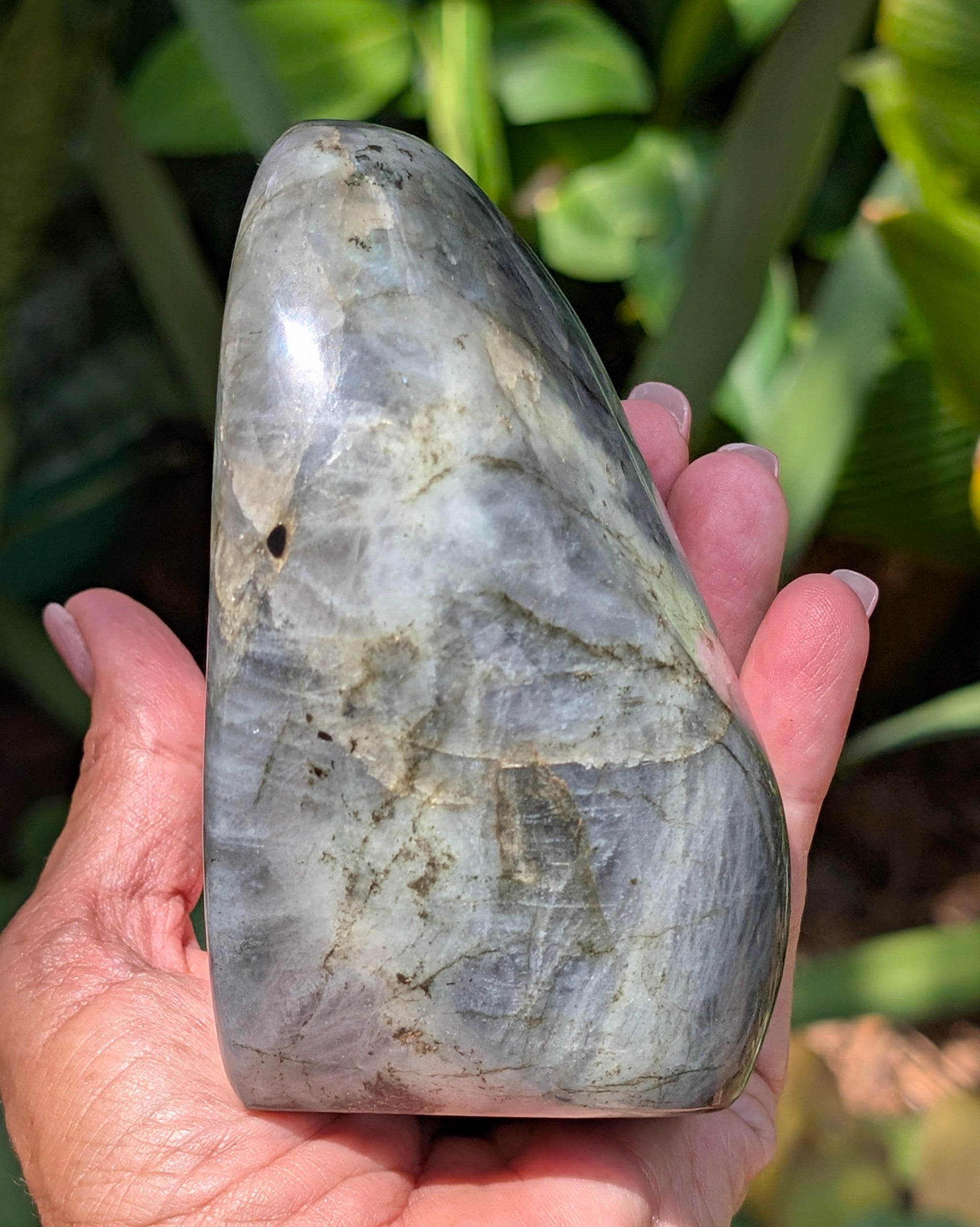 Labradorite E