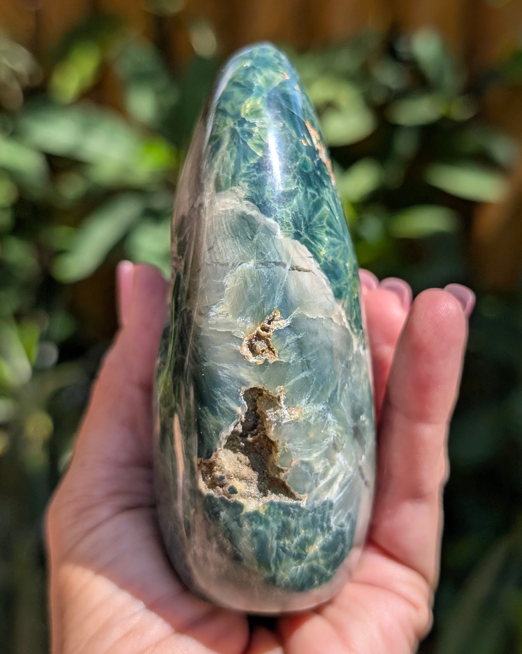 Ocean Jasper E