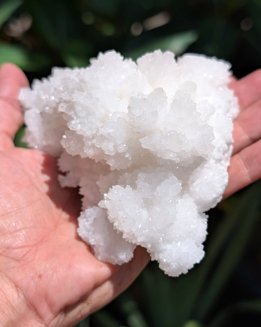 Fluorescent Aragonite Cluster - Opt. N