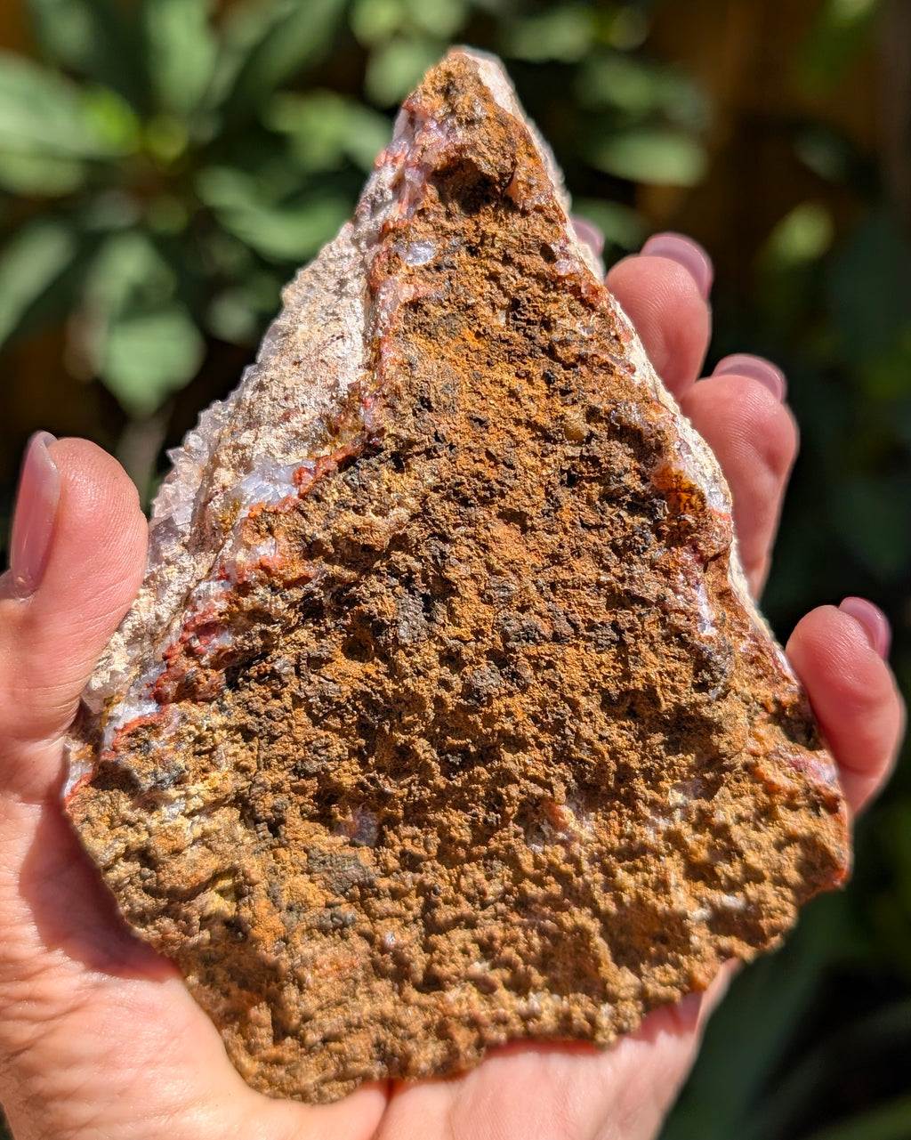 Amethyst Tarazout Cluster D