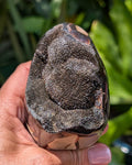Septarian Dragon Egg D