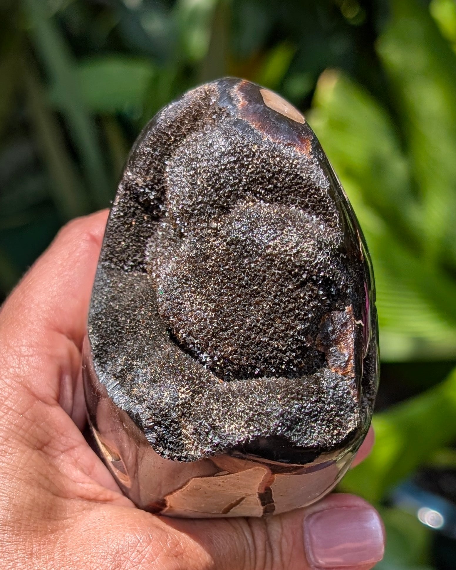 Septarian Dragon Egg D