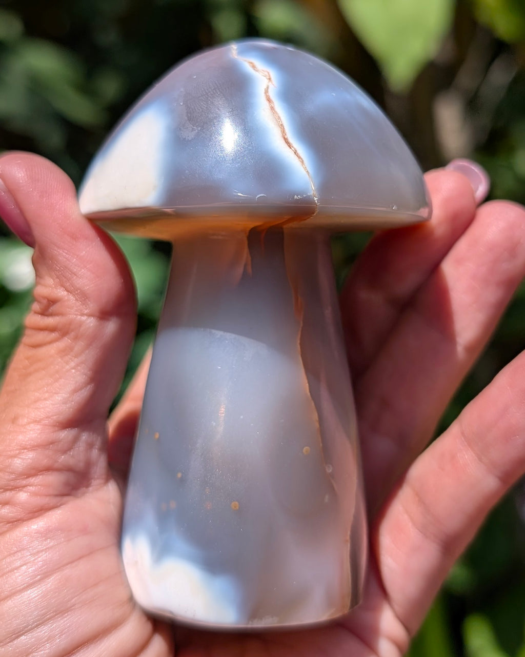 Orca Agate Mushroom I