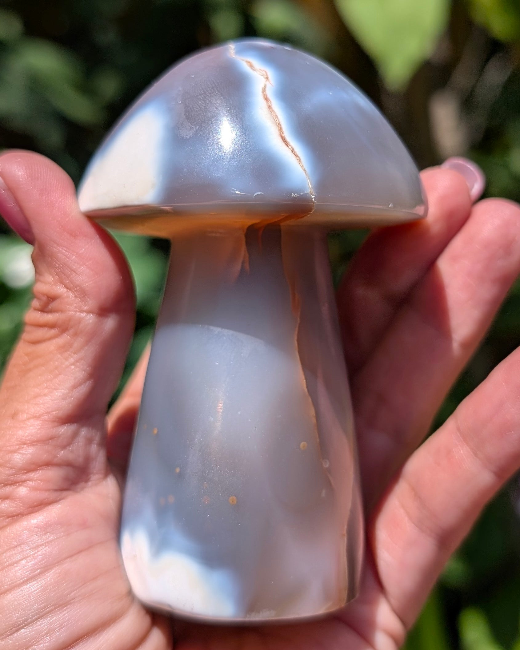 Orca Agate Mushroom I
