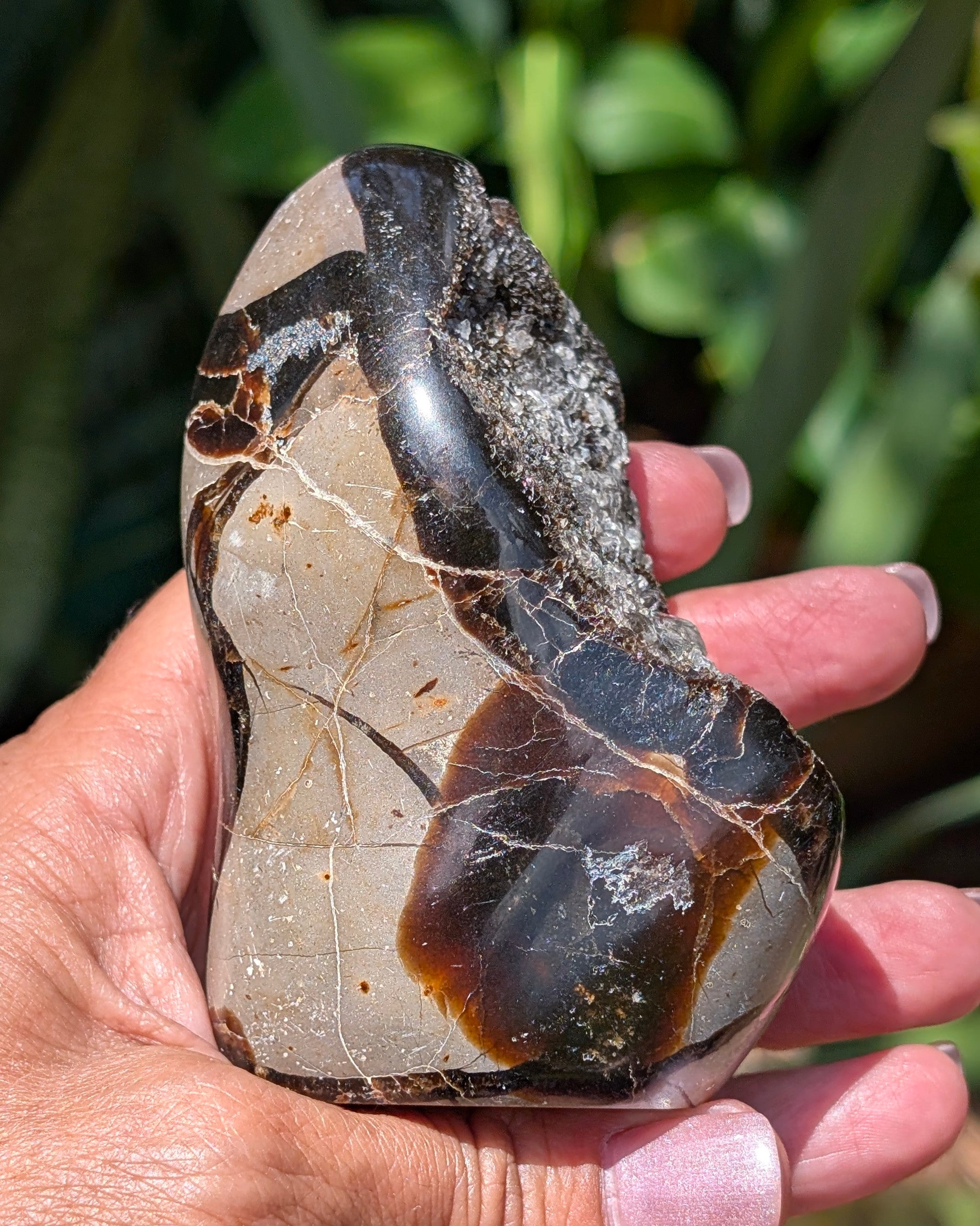 Septarian Dragon Egg E