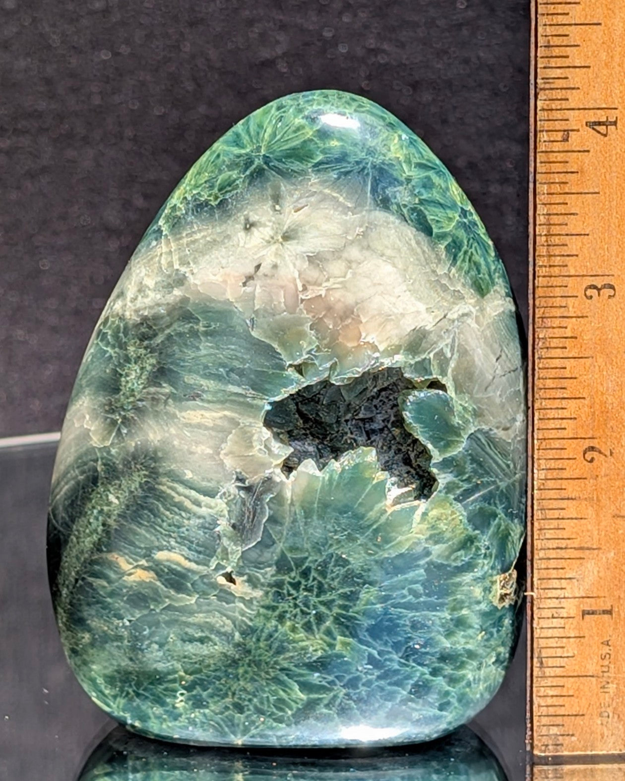 Ocean Jasper E