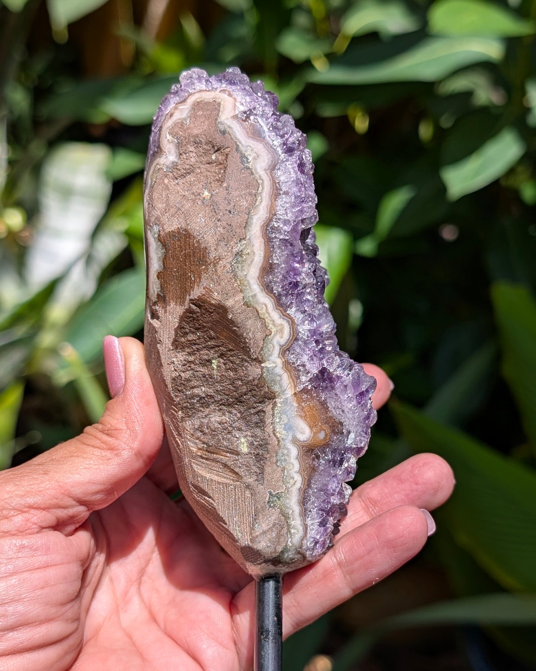 Amethyst Druzy on Stand B