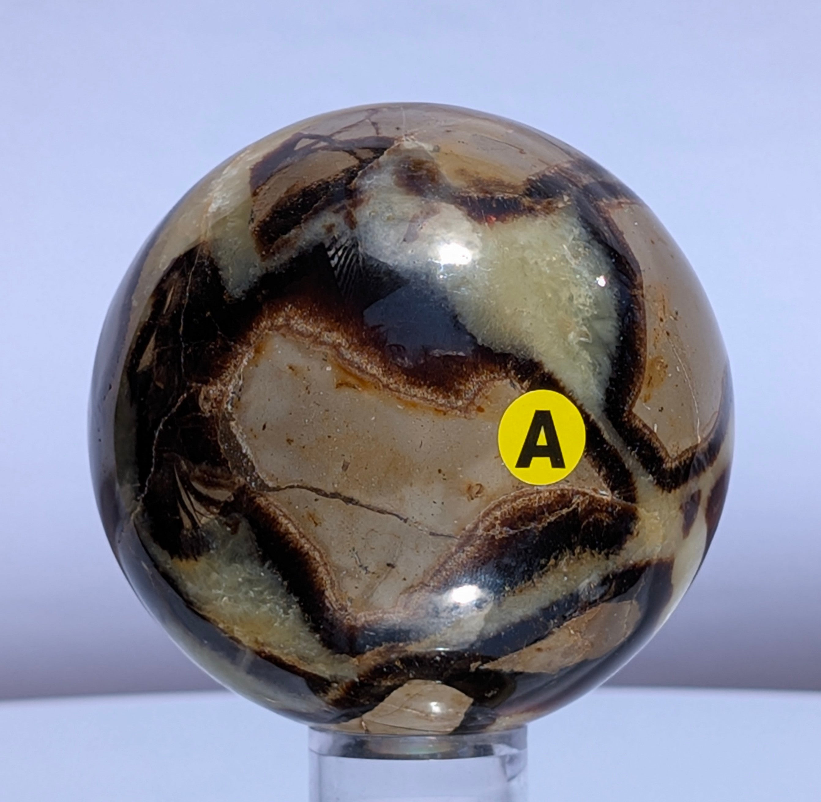 Septarian Dragon Stone Sphere A