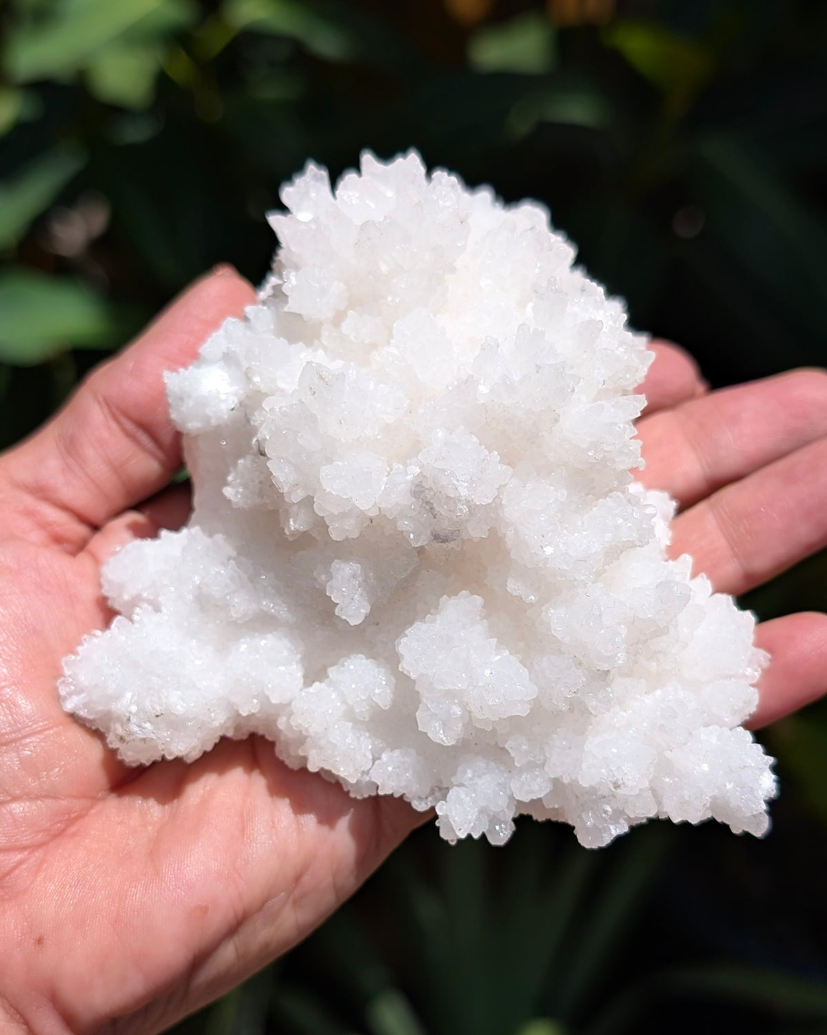 Fluorescent Aragonite Cluster - Opt. N