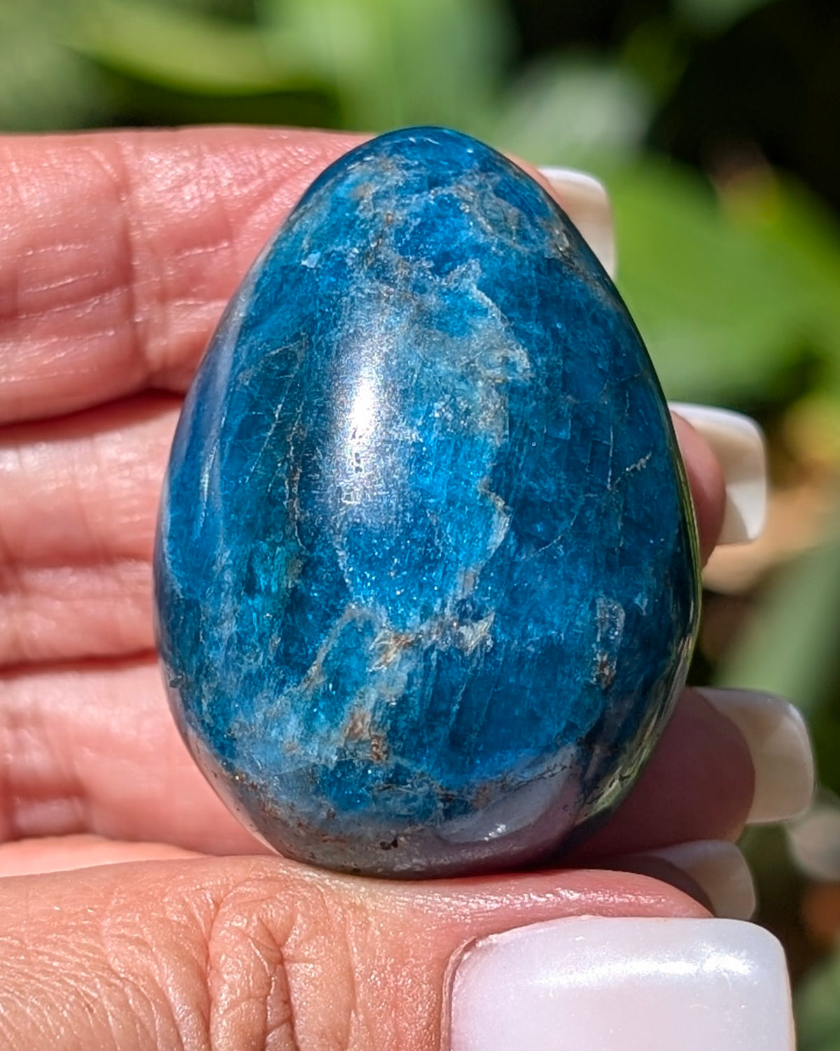 Apatite Egg - Opt. K