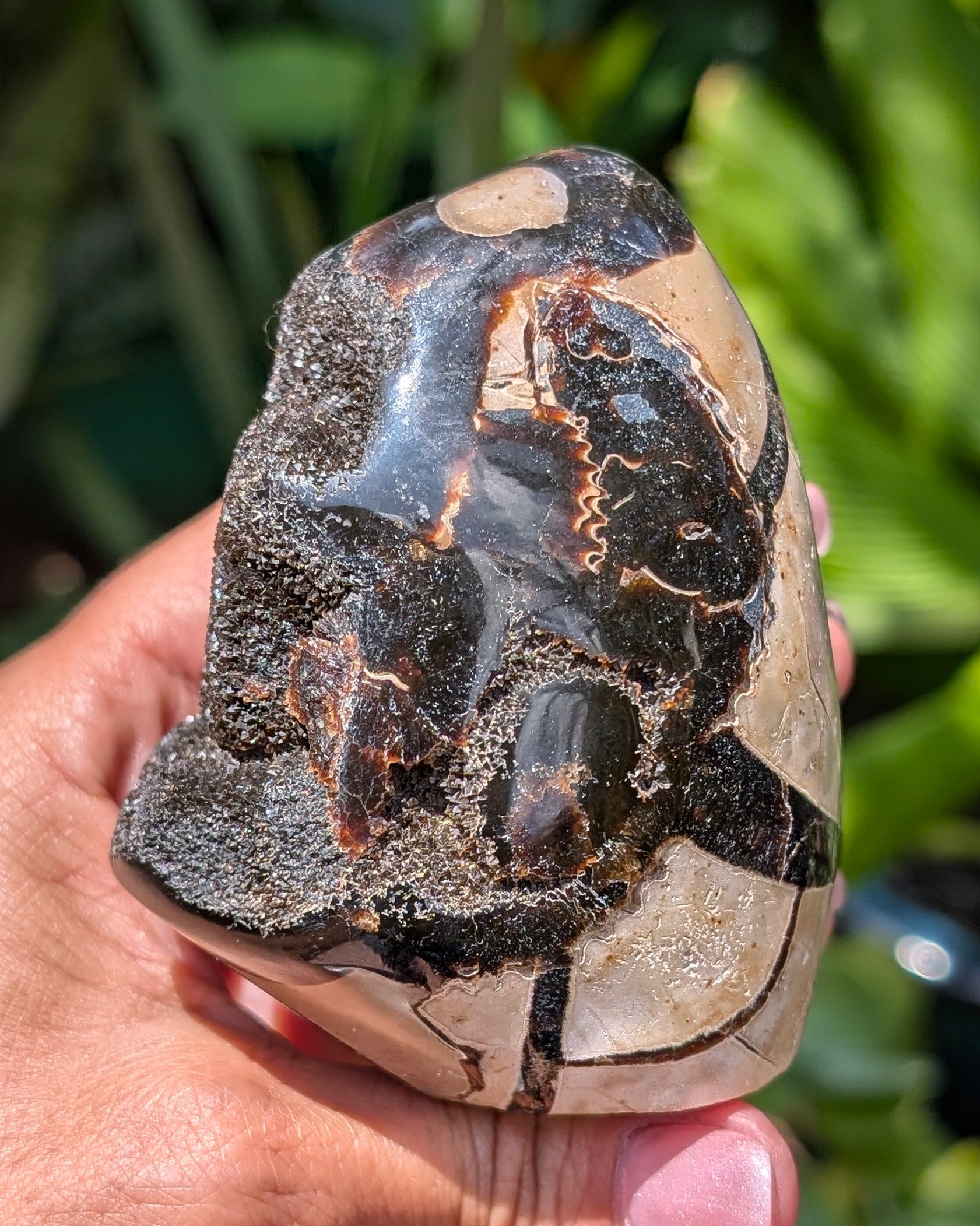 Septarian Dragon Egg D