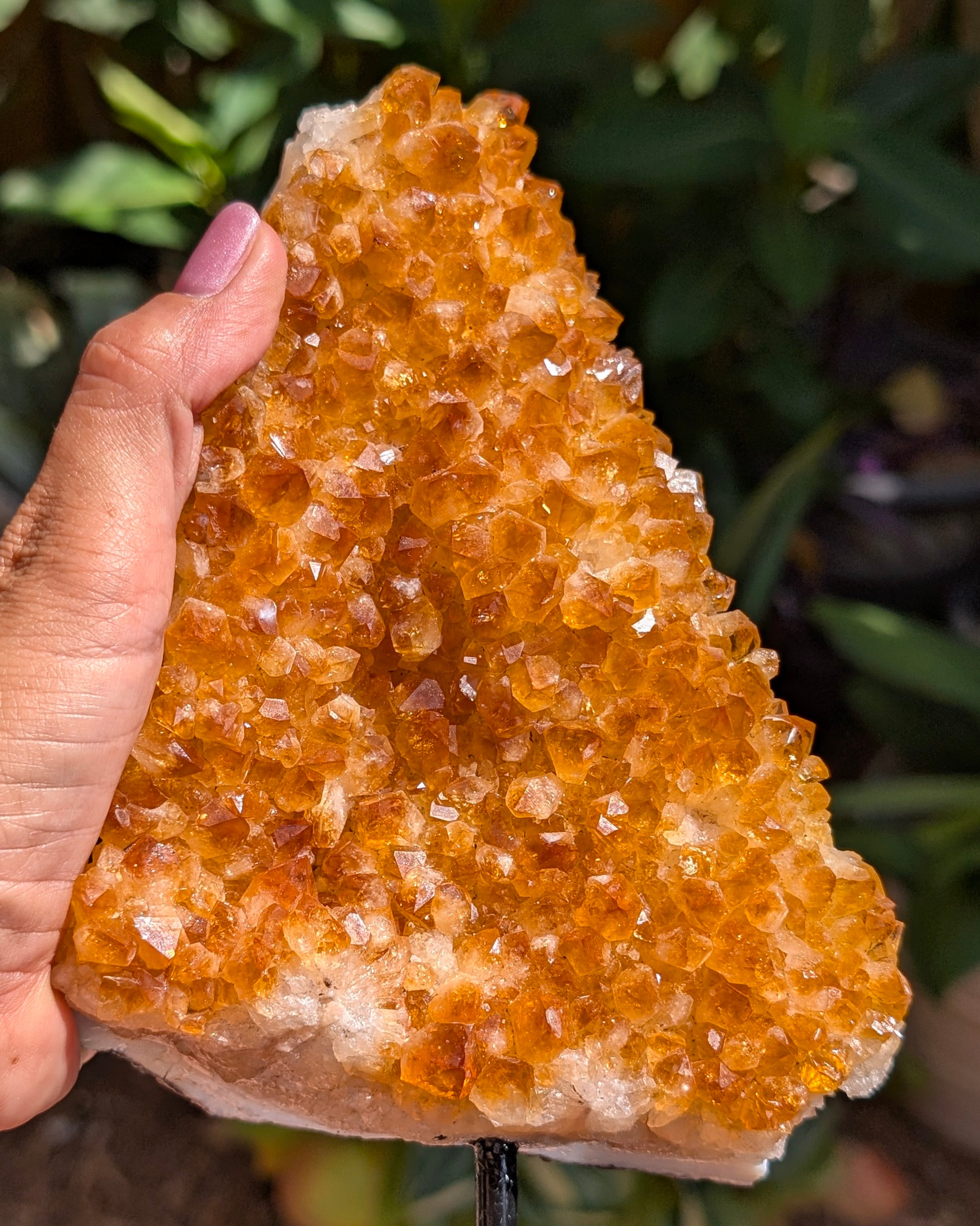 Citrine Cluster E