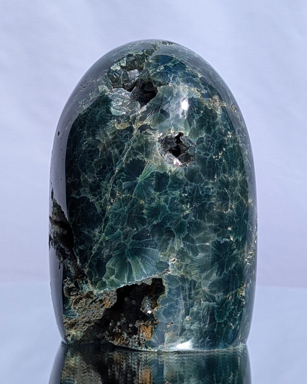 Ocean Jasper D