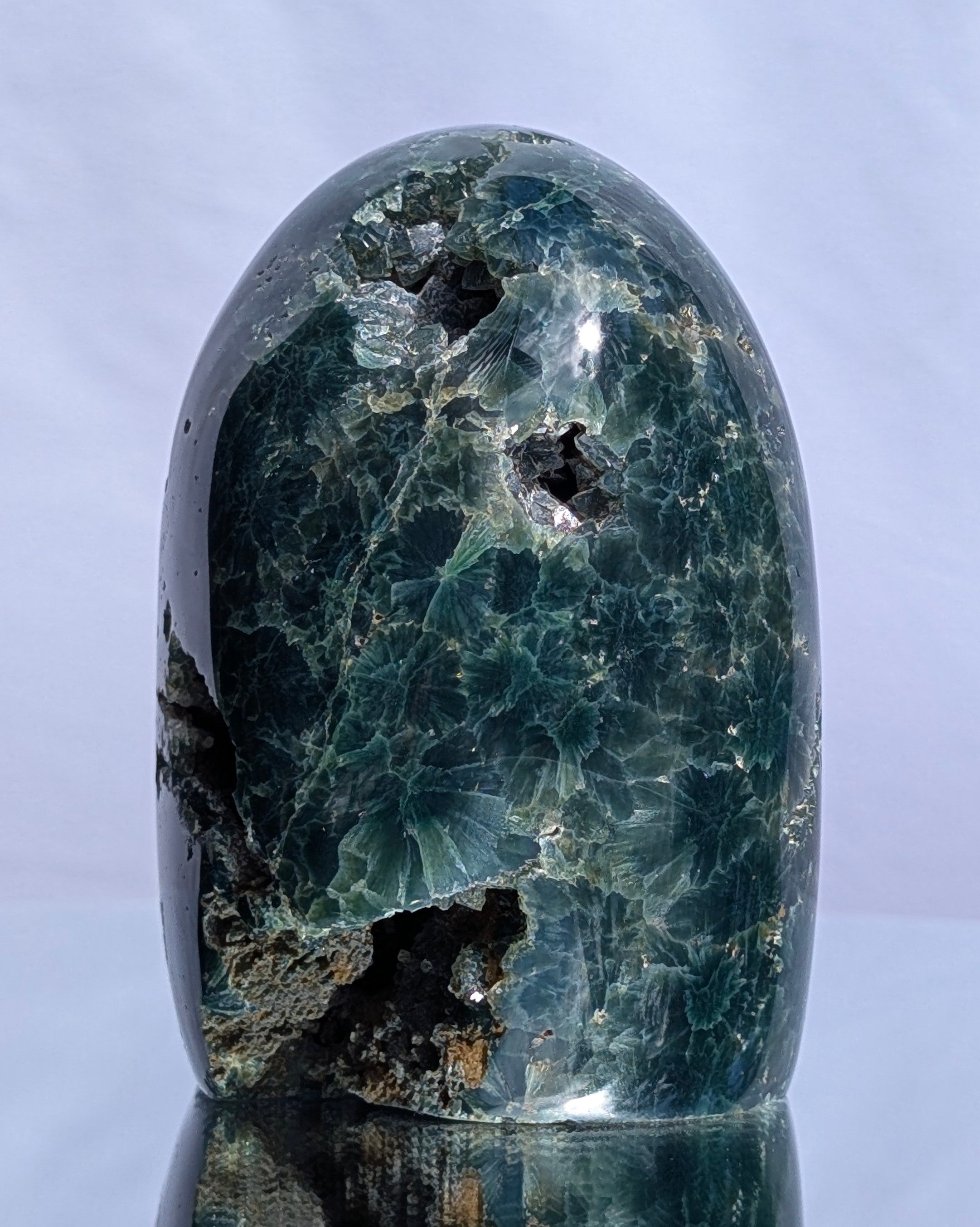 Ocean Jasper D