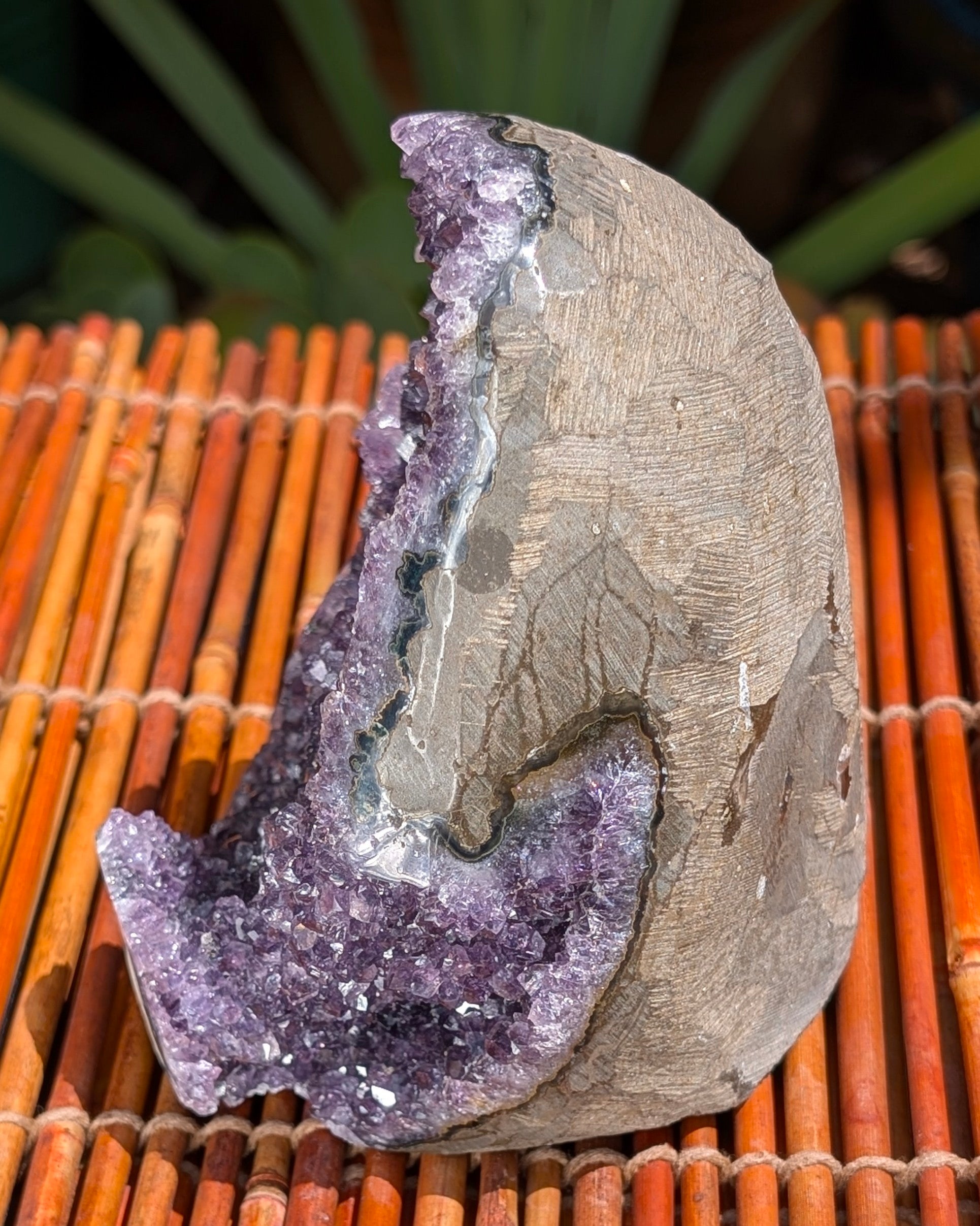 Amethyst Druzy Cluster C