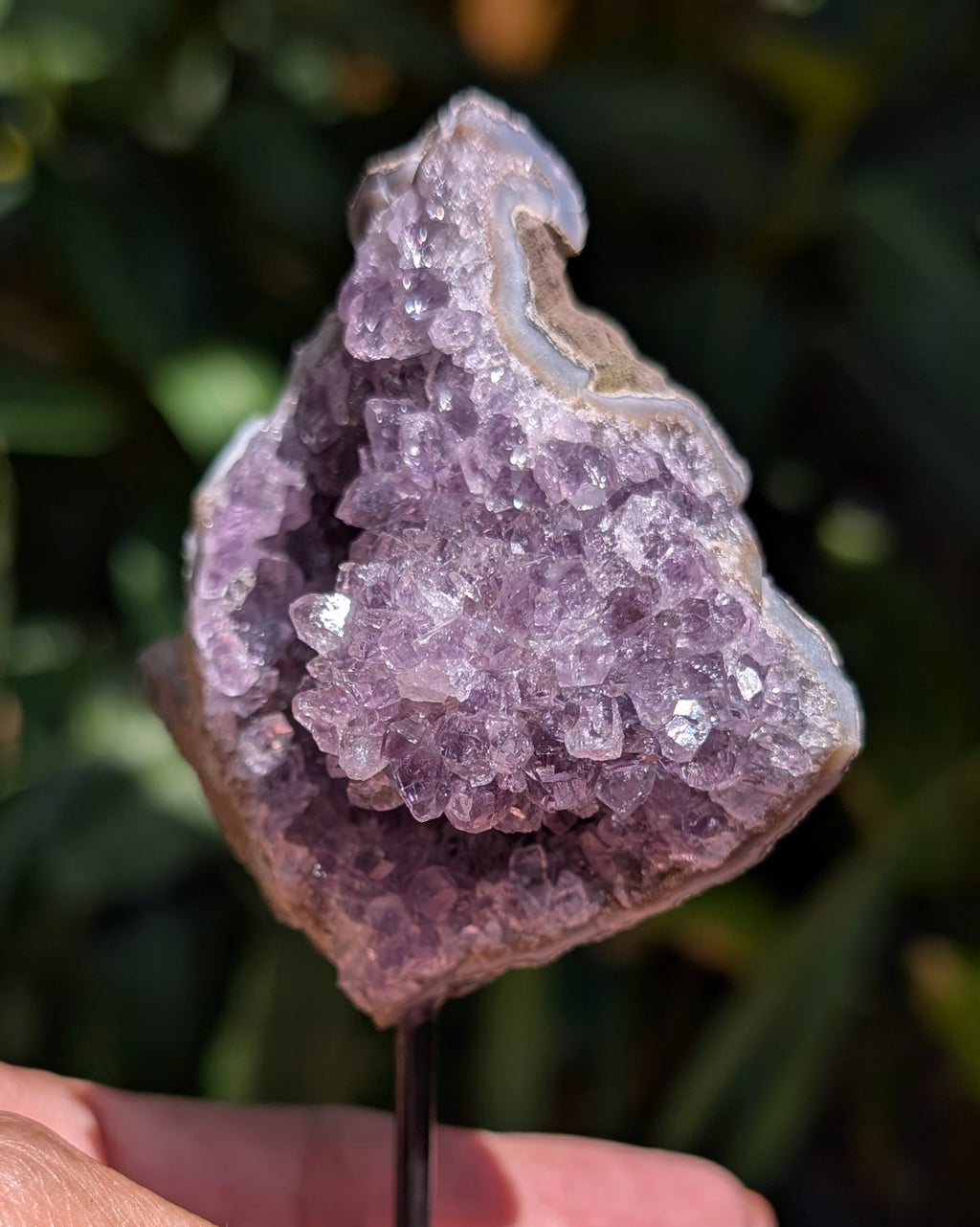 Druzy Amethyst on metal stand - Opt. C