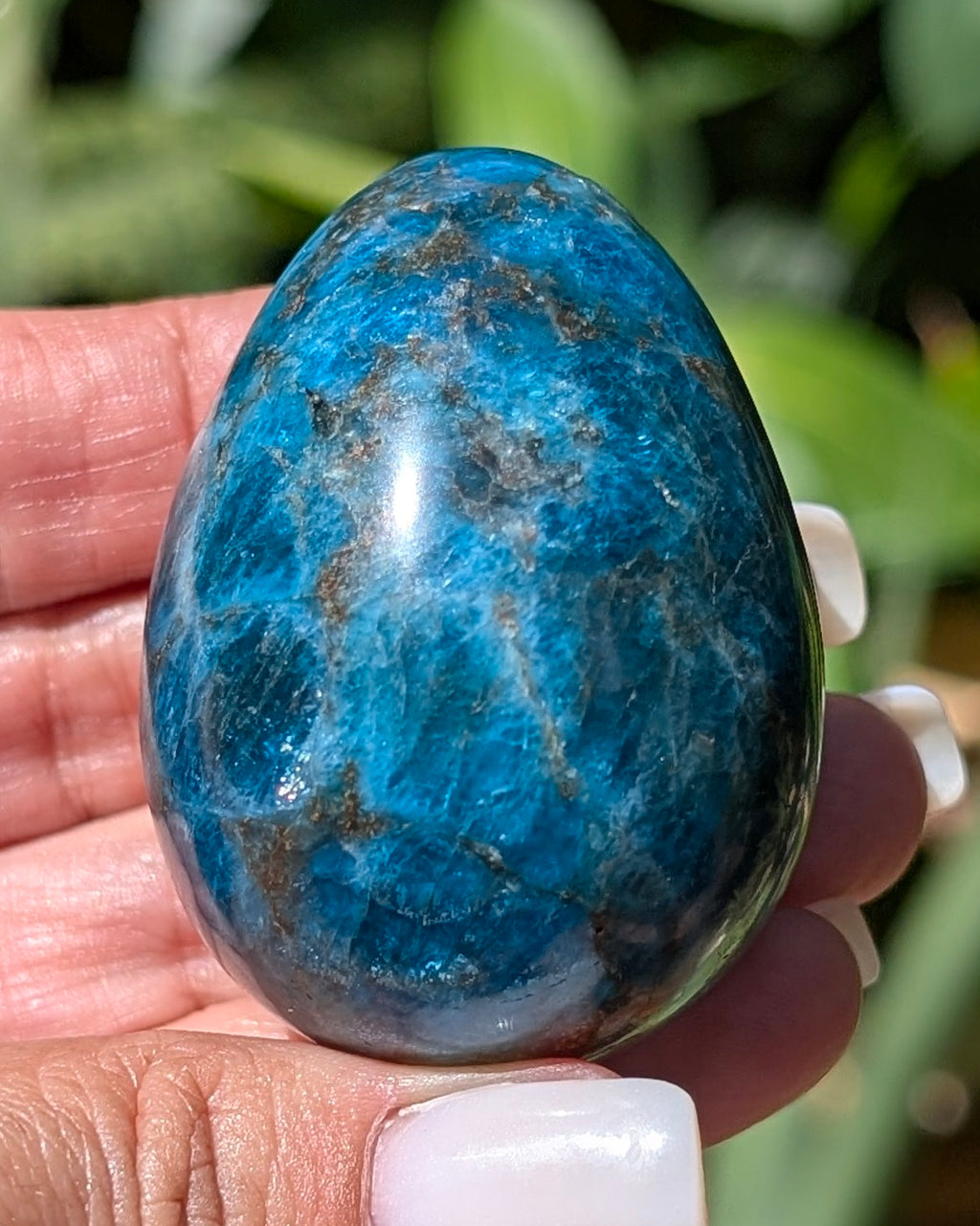 Apatite Egg - Opt. H