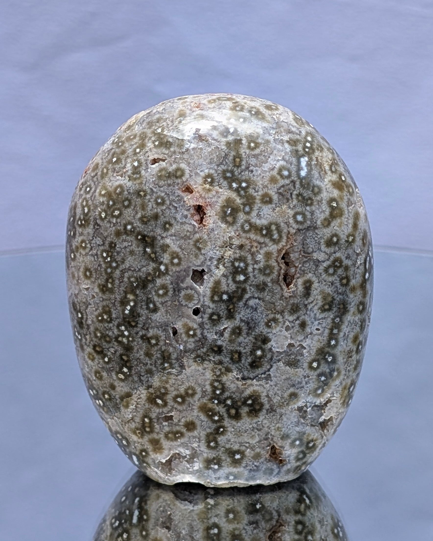 Ocean Jasper C