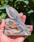 Agate Druzy Dolphin C