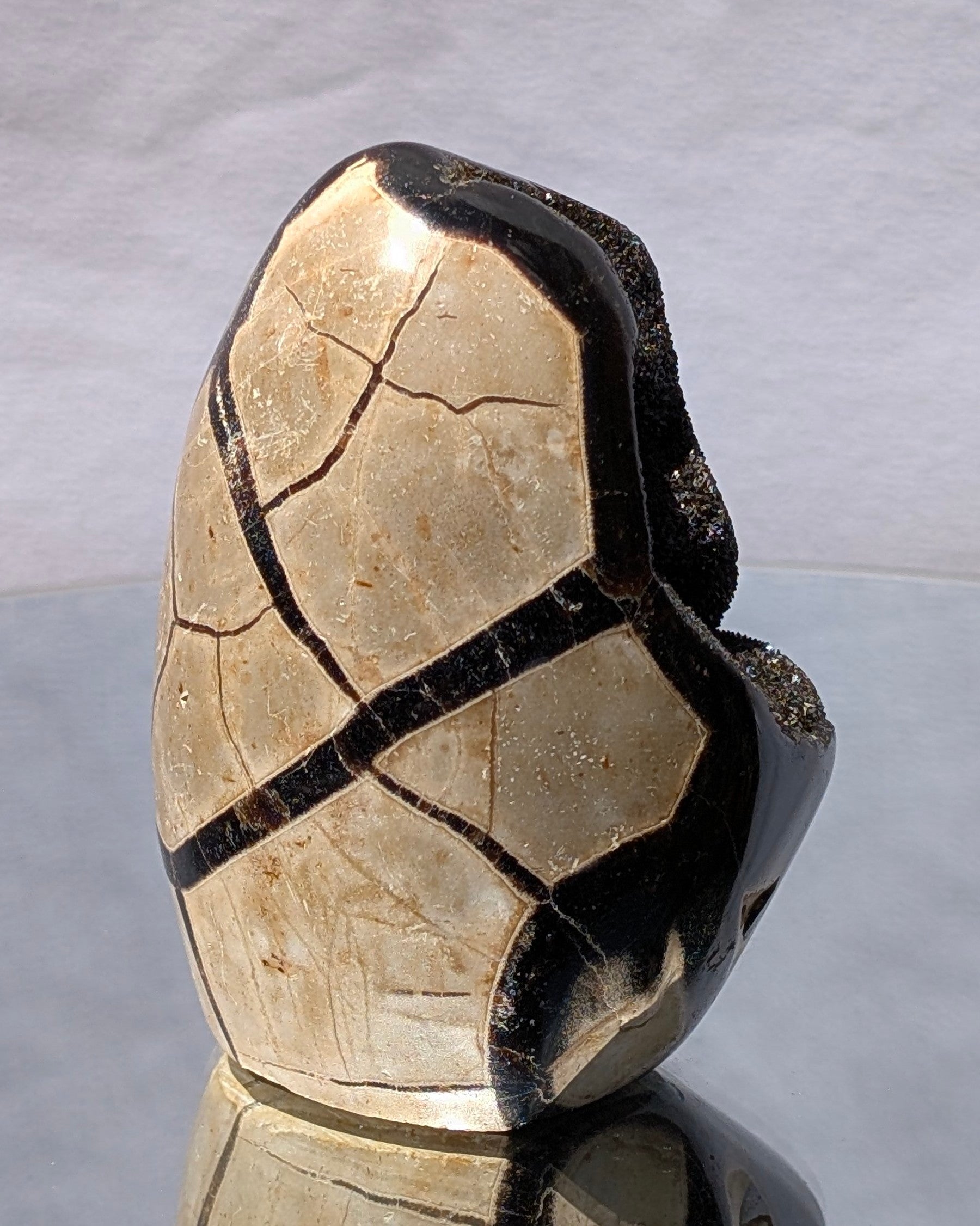 Septarian Dragon Egg D