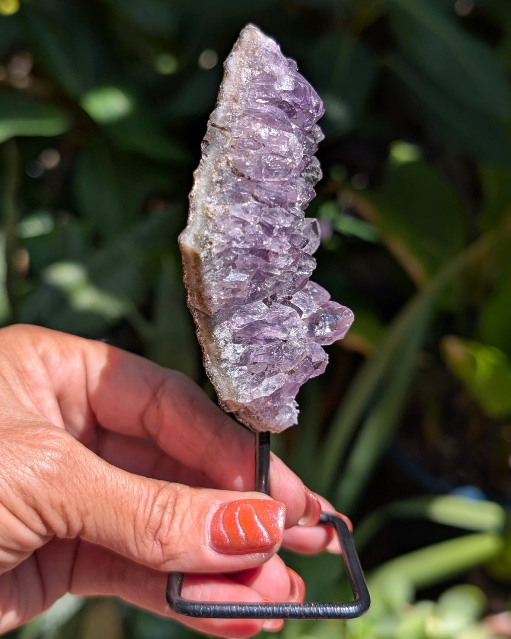 Druzy Amethyst on metal stand - Opt. D