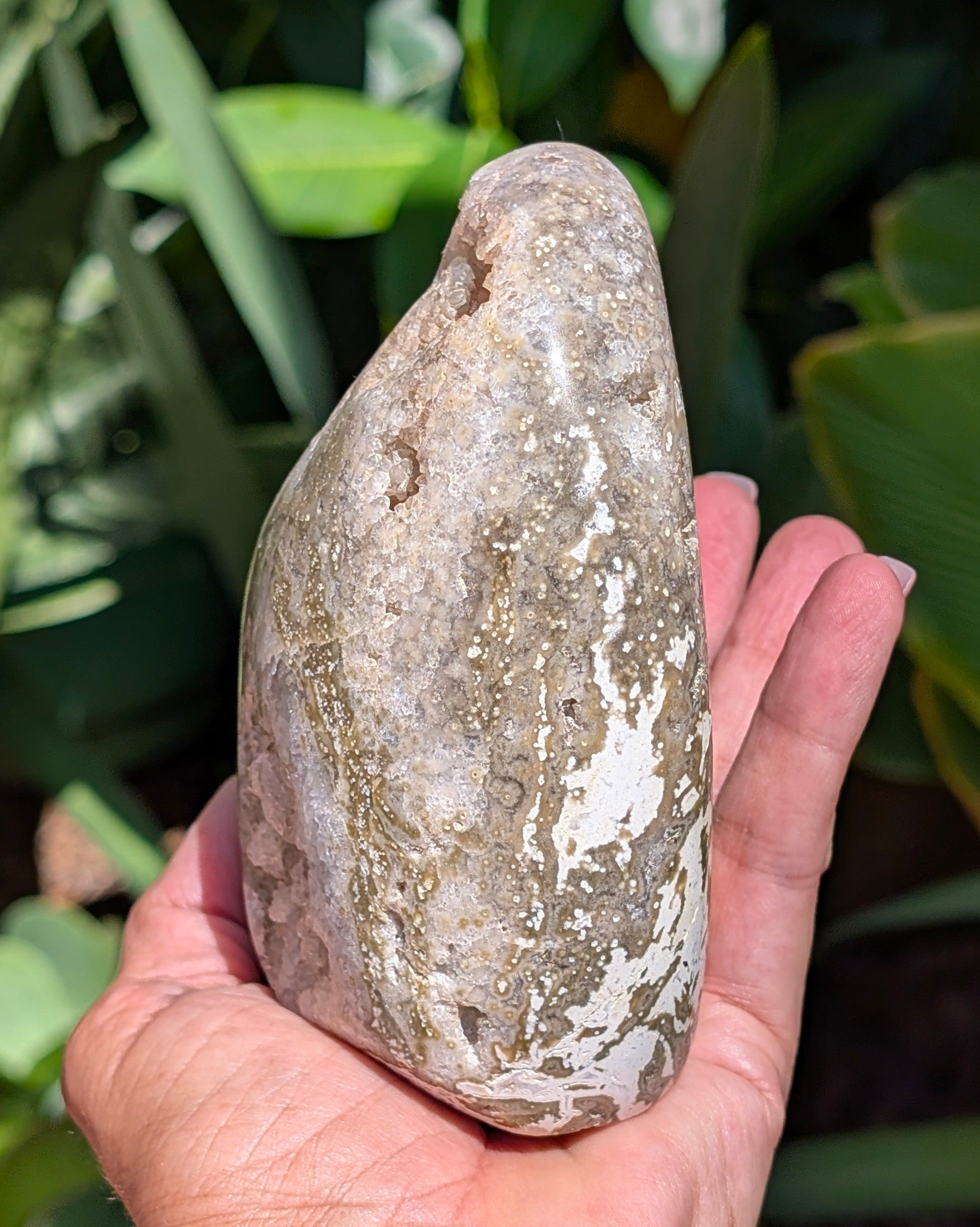 Ocean Jasper A