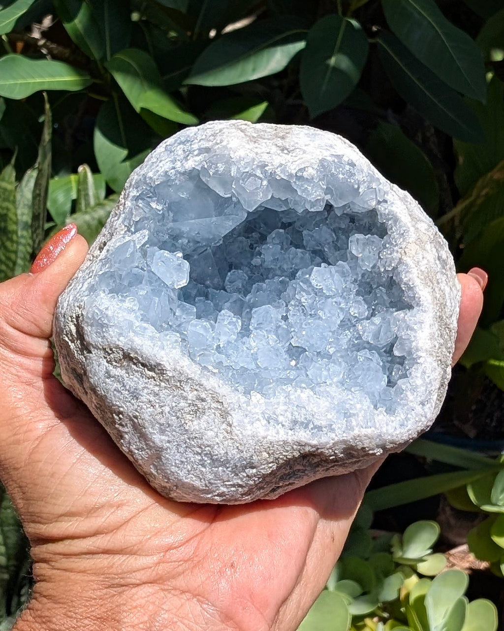 Heavenly Blue Celestite Geode - Opt. I