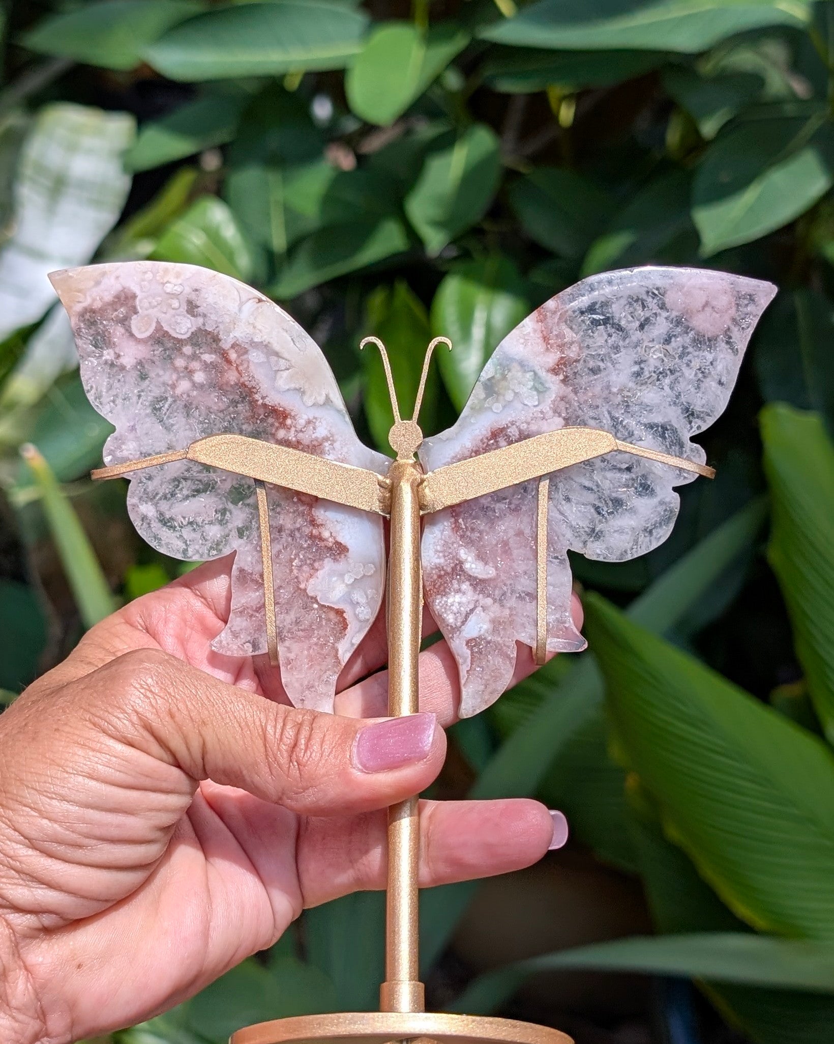 Flower Agate Butterfly A