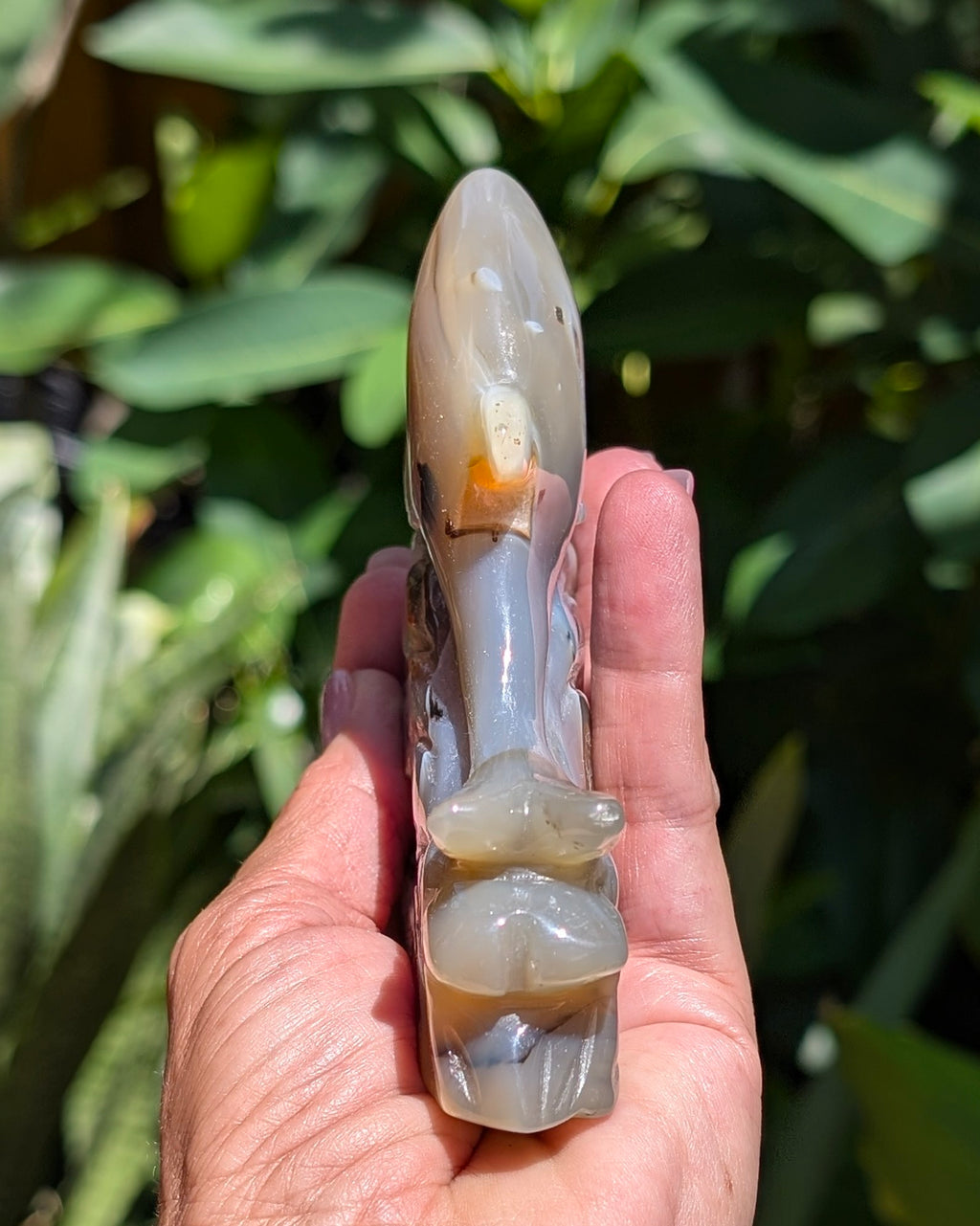 Agate Druzy Dolphin C