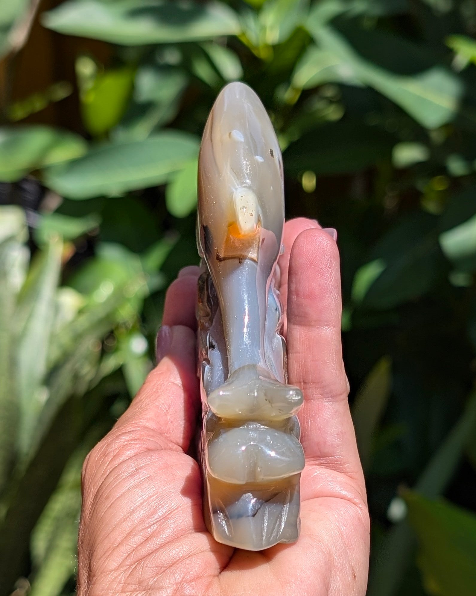 Agate Druzy Dolphin C