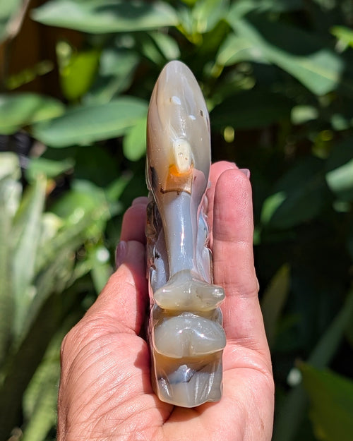 Agate Druzy Dolphin C