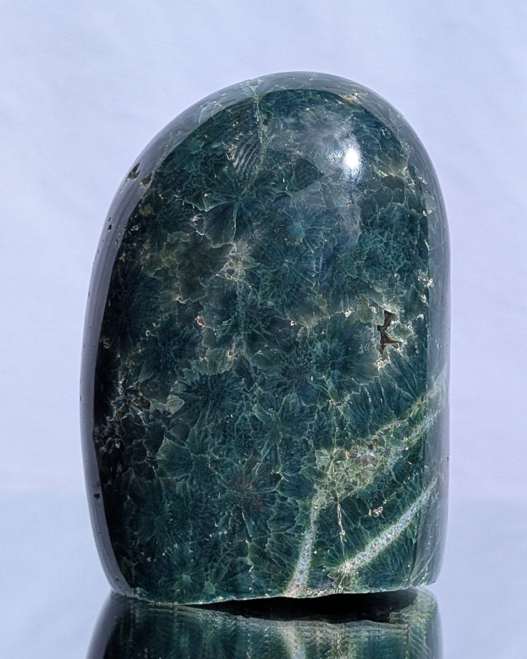 Ocean Jasper D