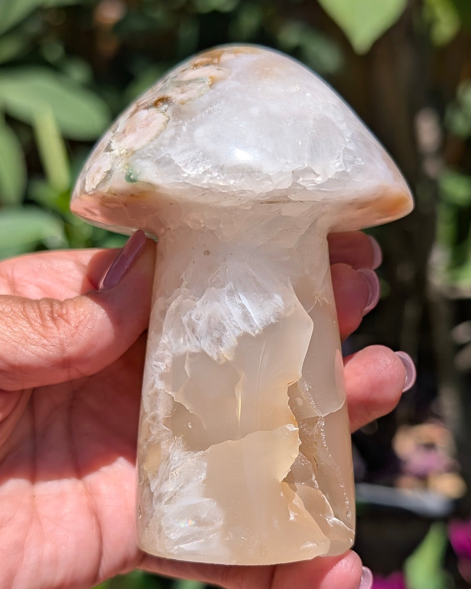 Flower Agate Mushroom E