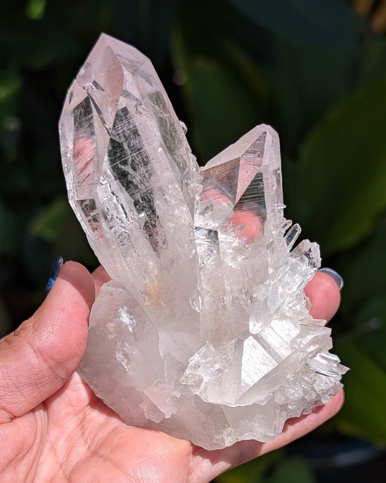 Gorgeous Brazilian Clear Quartz Cluster - Opt. B