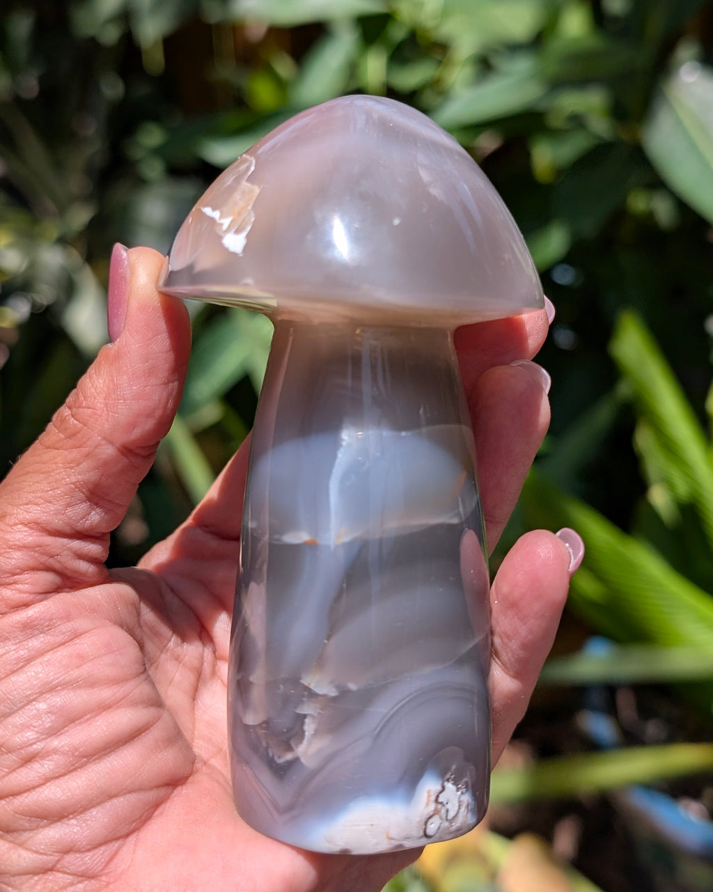 Orca Agate Mushroom H