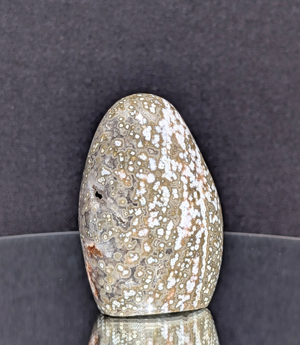 Ocean Jasper B