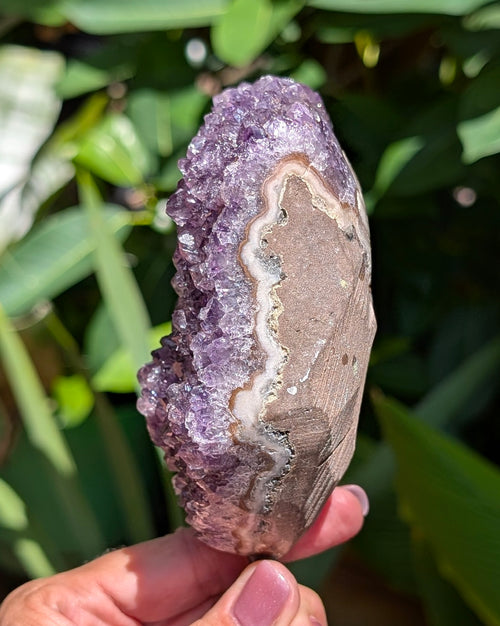 Amethyst Druzy on Stand B